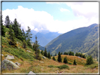 foto Da Forcella Montalon a Val Campelle